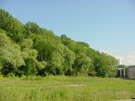 BackoftheHill