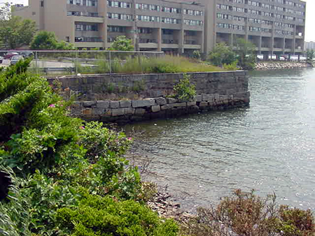 CondorStreetOverlook