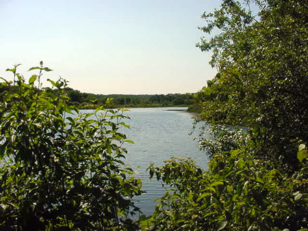 DumpShoreline