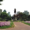 Parks One (100)