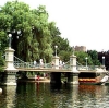 Parks Three (100)