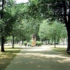 Parks Six (100)