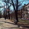 Parks Seven (100)