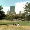 Parks Nine (100)