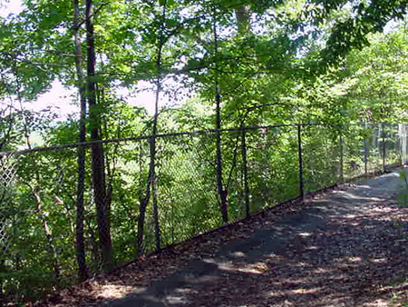 MontereyHilltop