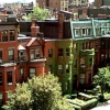 Neighborhood Three (100)