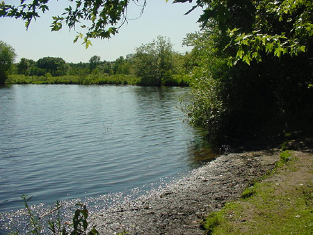 RivermoorIII