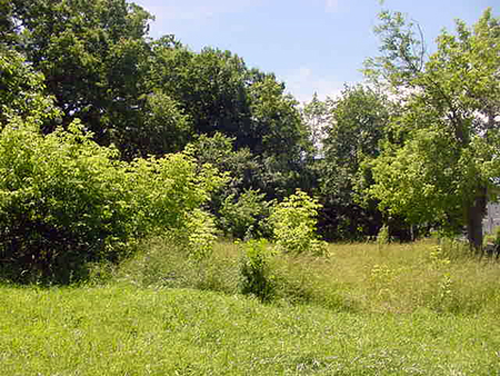 WillowwoodRock