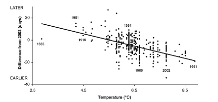 Arnold Arboretum flowering times by temp (440)