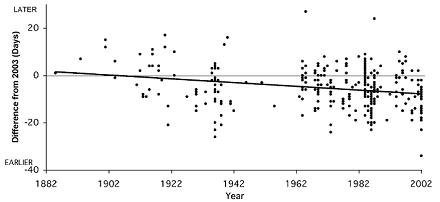 Arnold Arboretum flowering times by year (440)