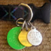 Dog License