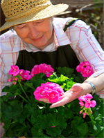 Senior Gardener
