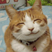 Happy Cat