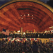 DCR Hatch Shell