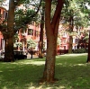 Neighborhood Two (100)