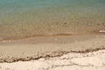 Shoreline (150)