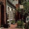 City Street Eight (100)