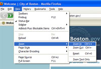Text Resize in Firefox