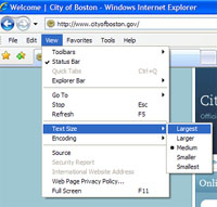 Text Resize in IE