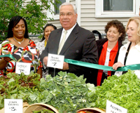 Victory House garden