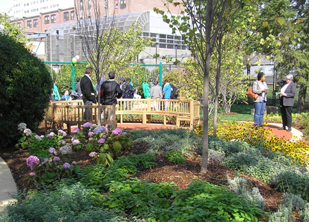 School Garden Designs