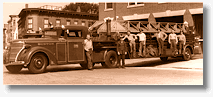 White Elephant Ladder 19