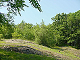 Geneva Ave. Cliffs Urban Wilds