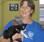 animal control logo