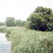 Muddy River