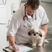 Vet