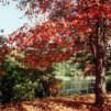 Franklin Park